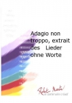 Adagio Non Troppo, Extrait des Lieder Ohne Worte